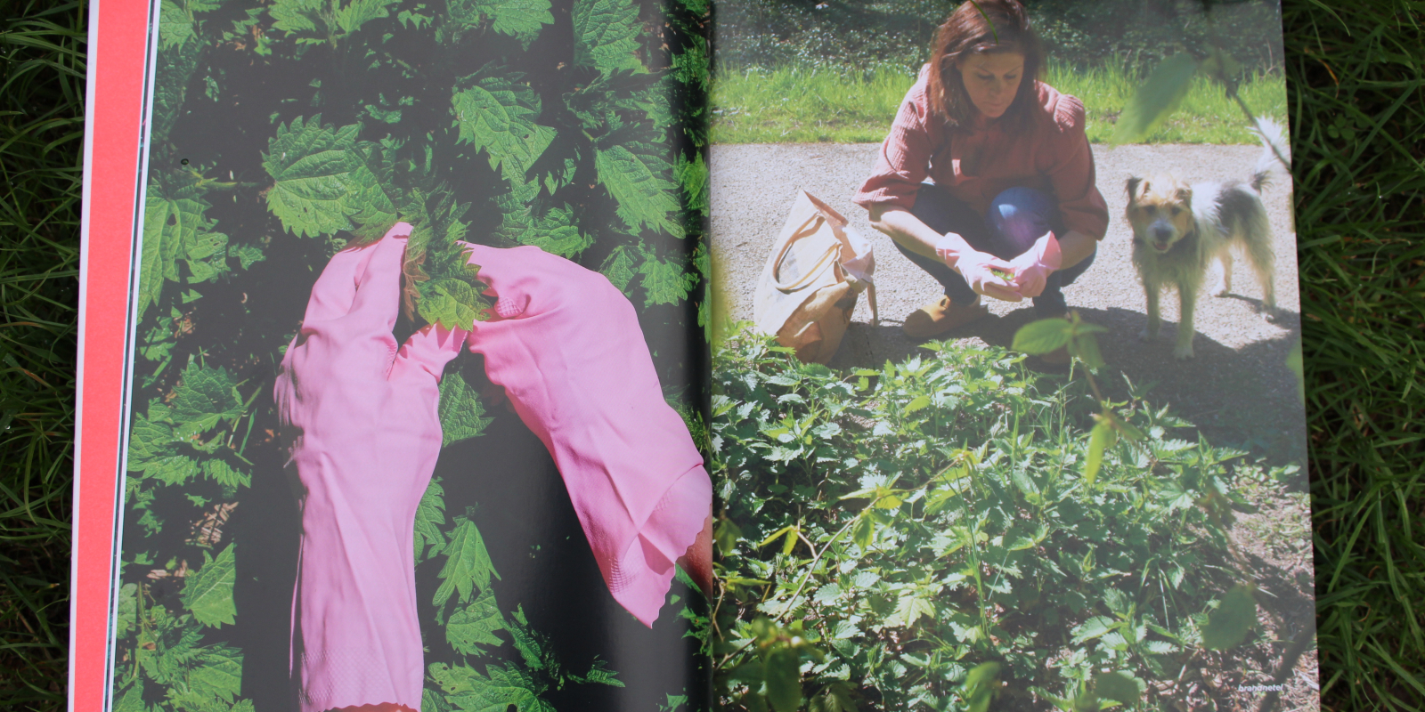 Van Boven In Het Wild