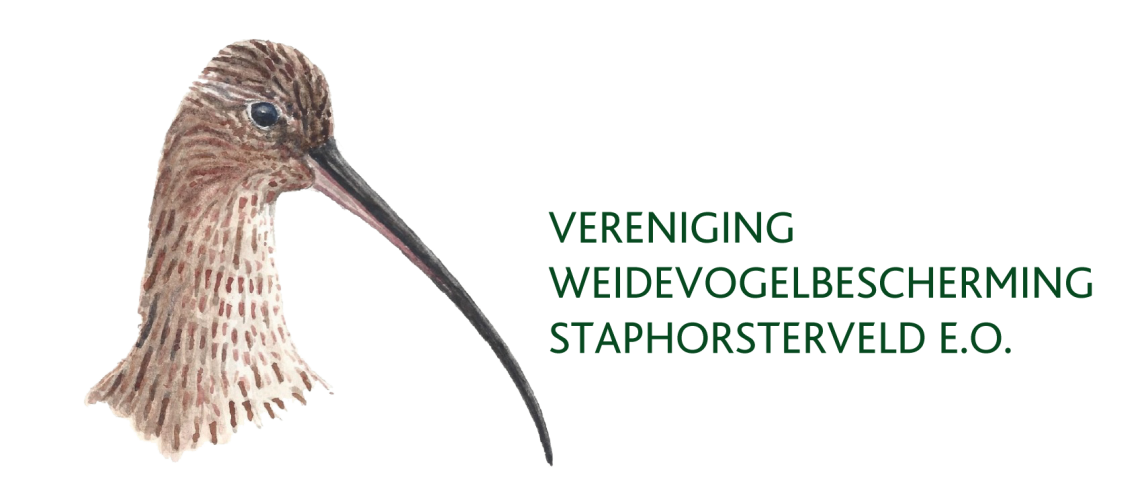 Weidevogelbescherming Staphorsterveld