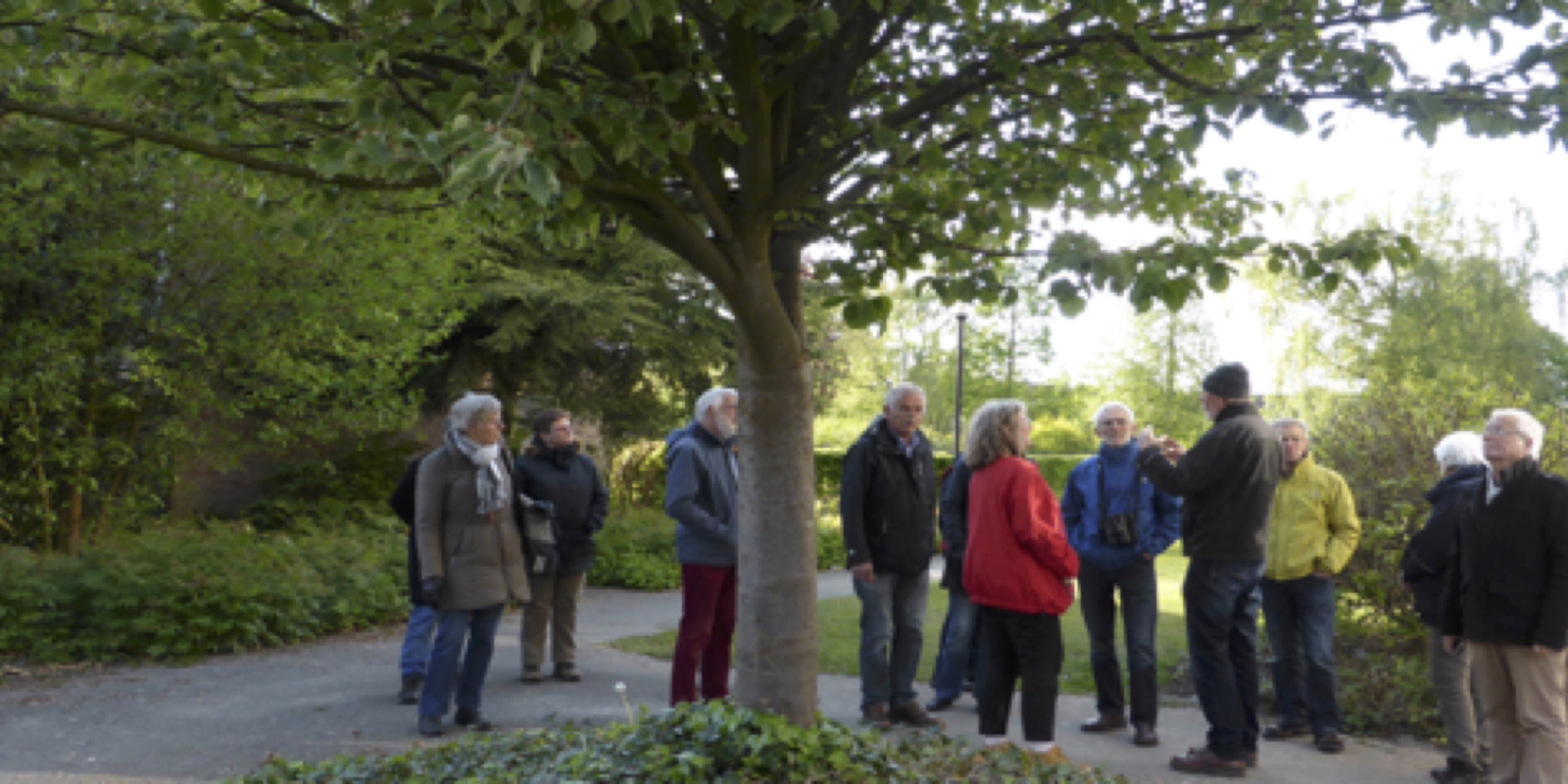foto-cursus