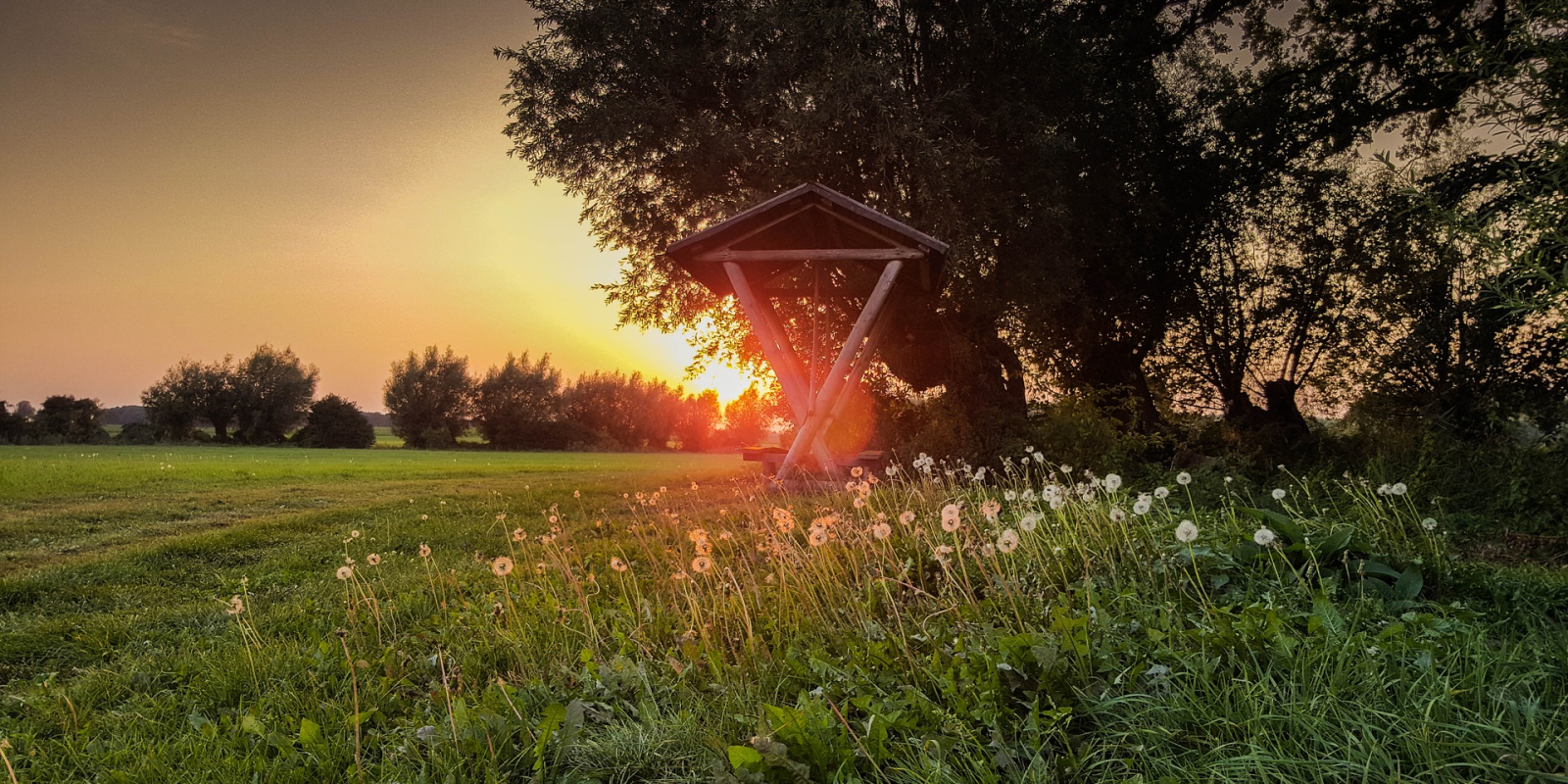 zomermorning