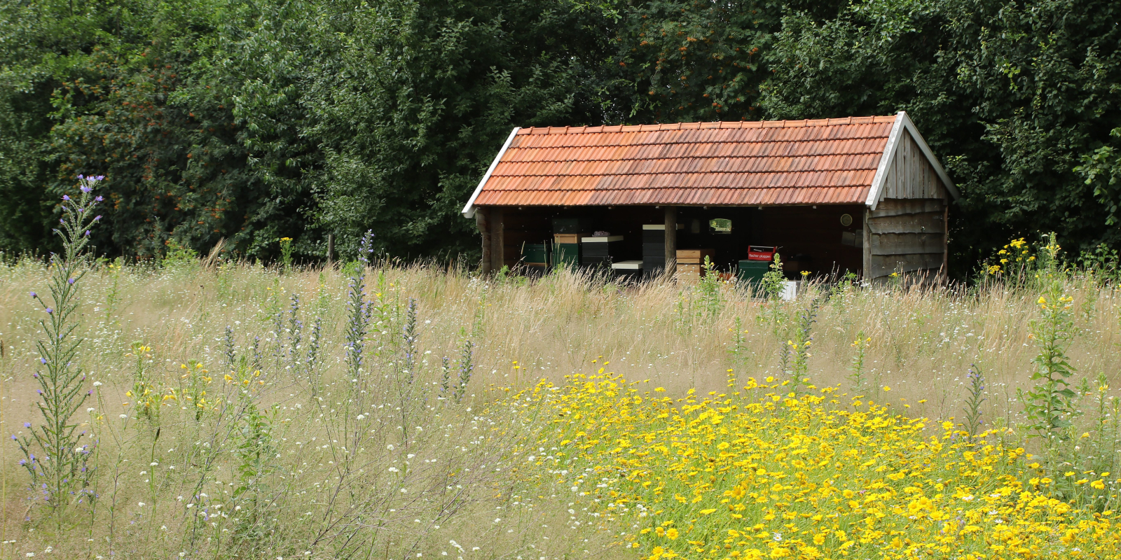 gbwim-weijerinklo22959-33