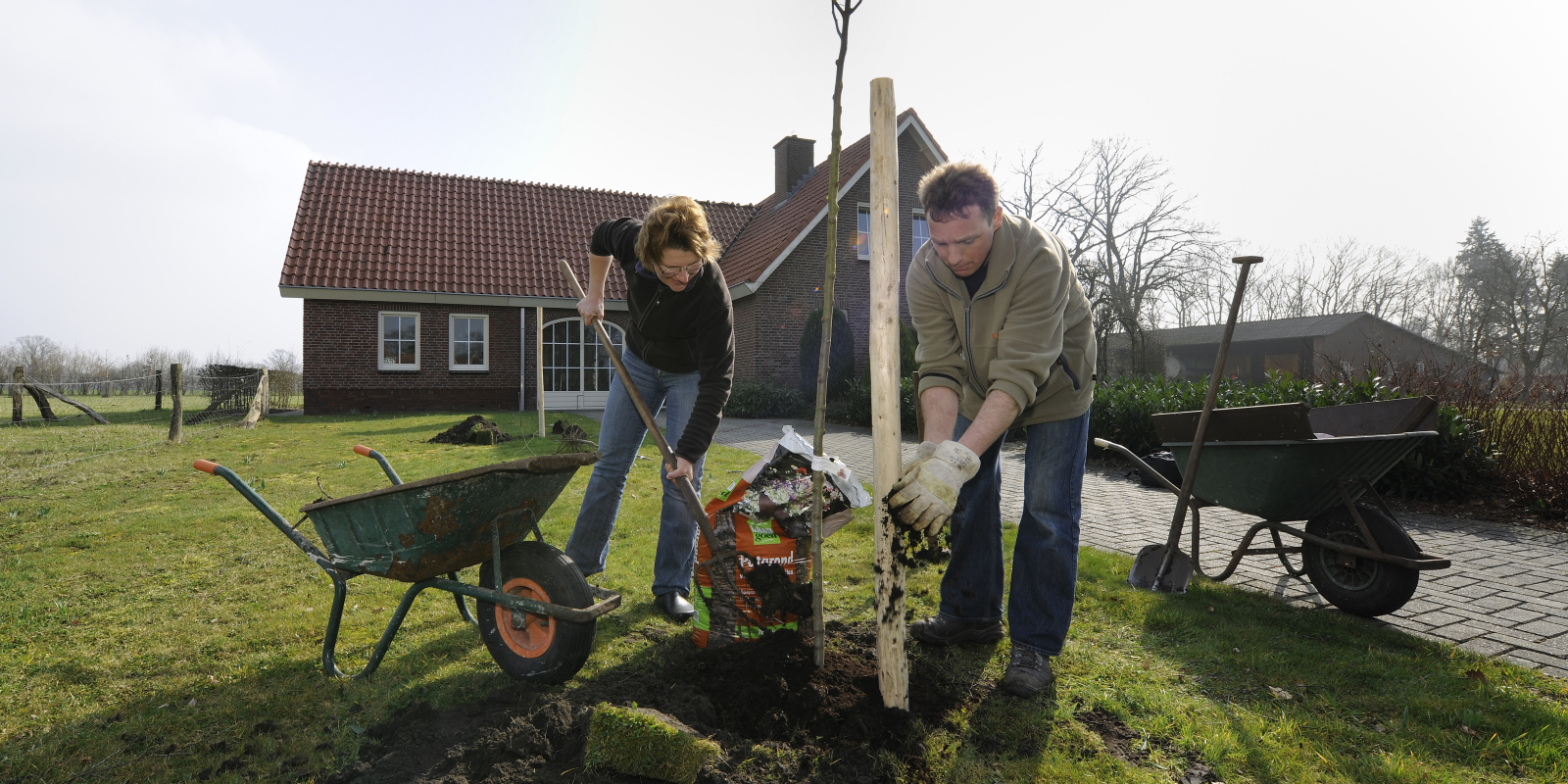 gb aanplant boom1