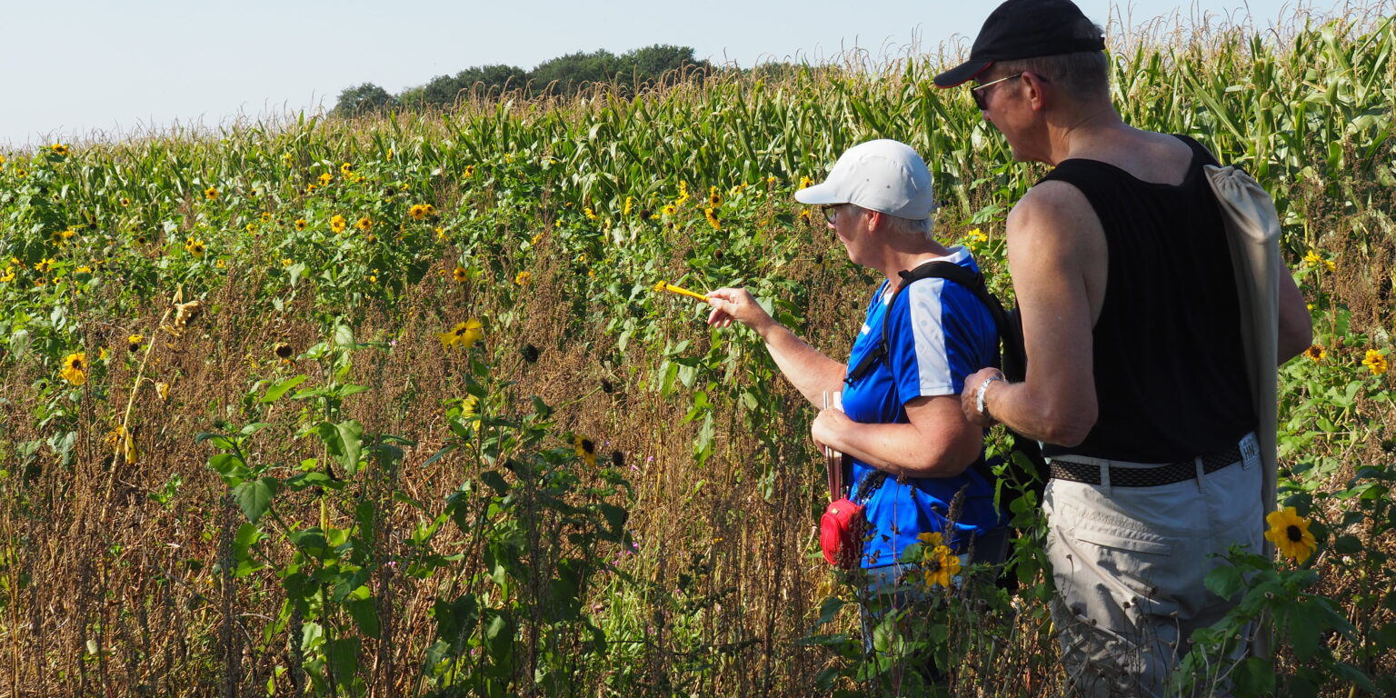 Vlinders tellen Cor en Pieternel