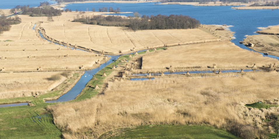 Luchtfoto van De Wieden, het gebied waar drinkwater wordt gewonnen