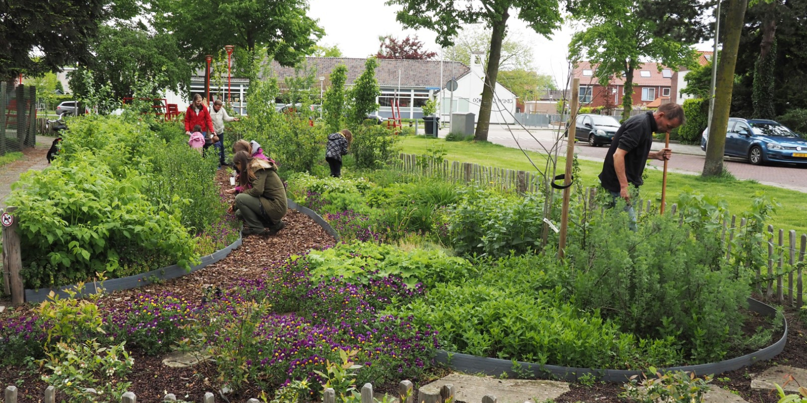 pluktuin Raalte