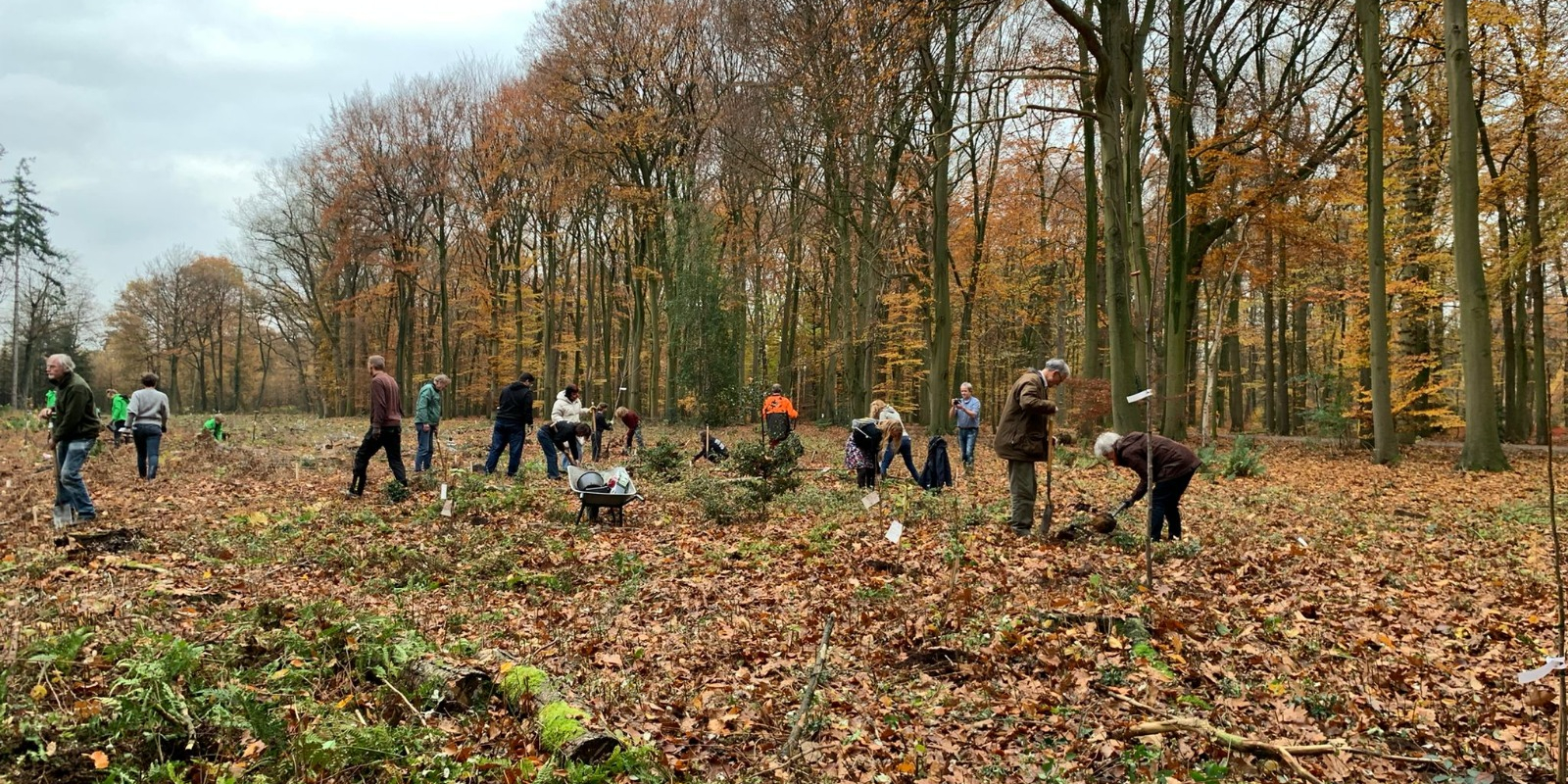 Aanplant Voedselbos Hof Espelo