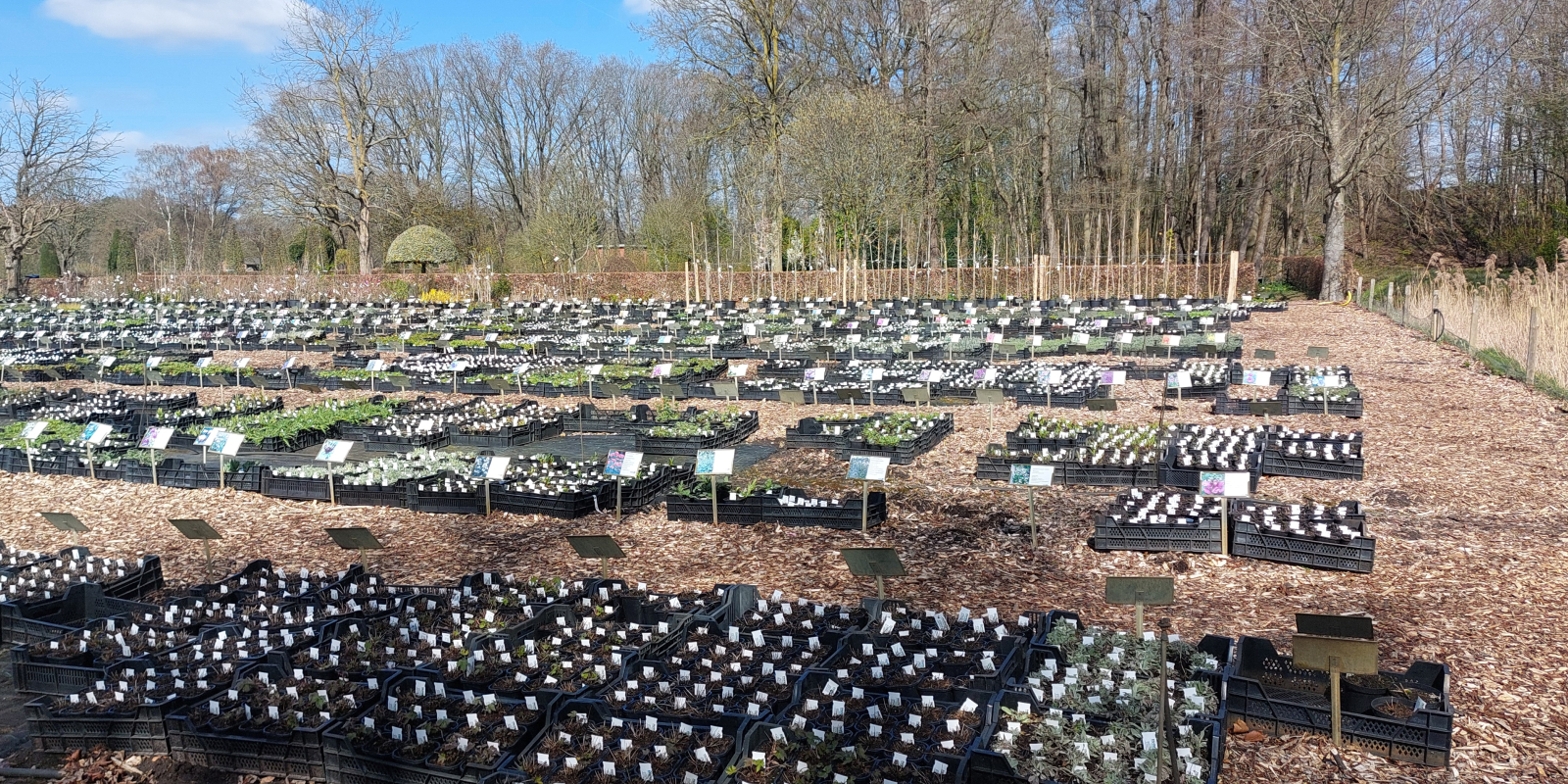 260401 Kwekerij Fahner Deurningen