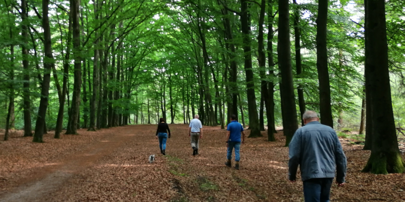 wandelen