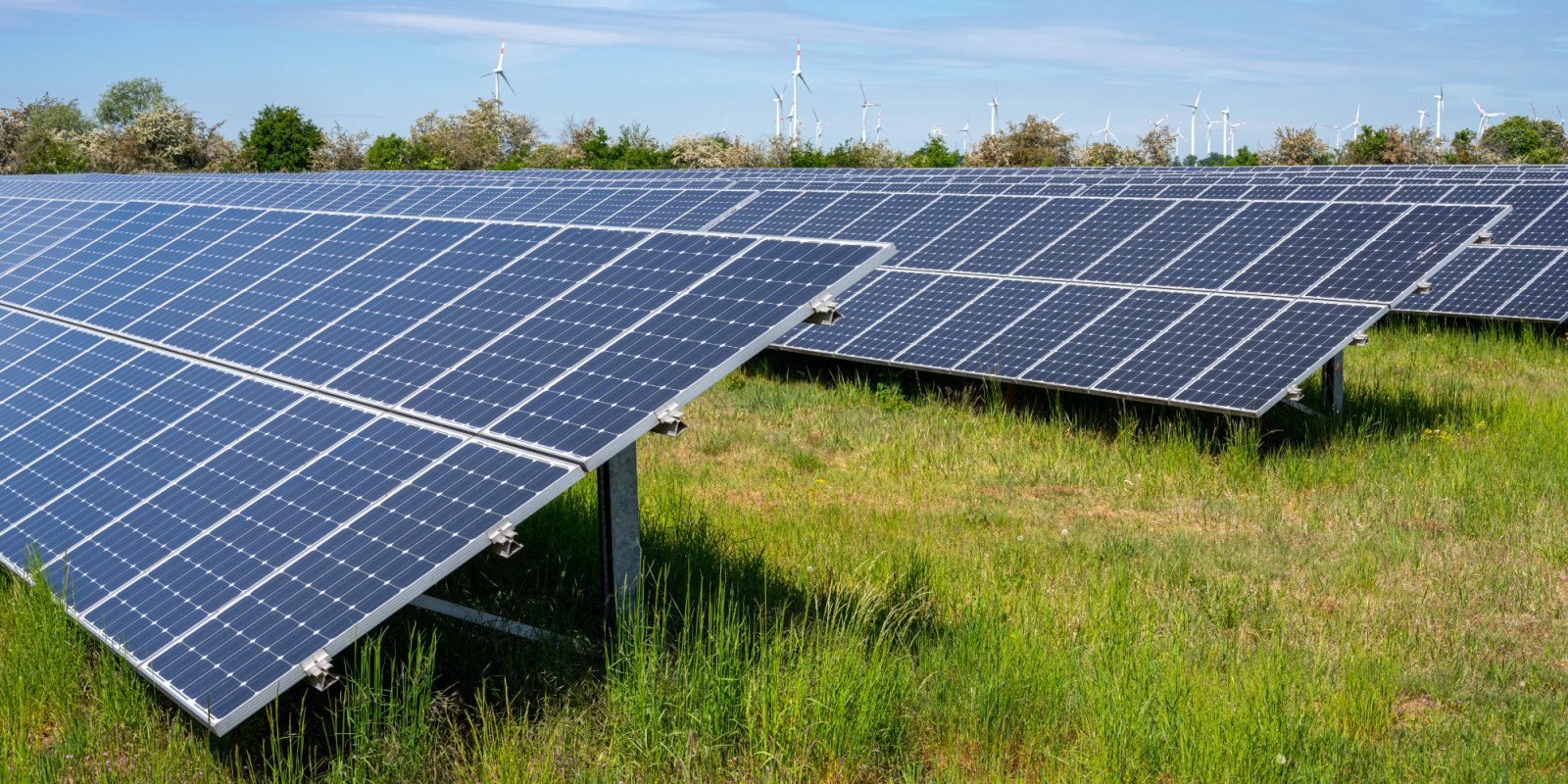 Zonnepanelen op de grond opstelling