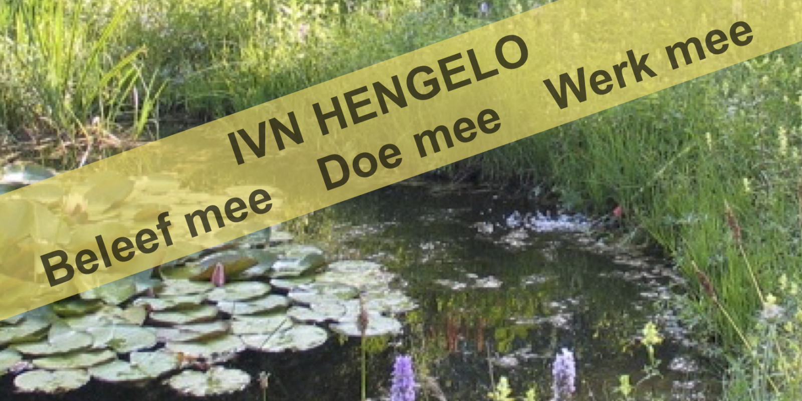 foto-communicatie
