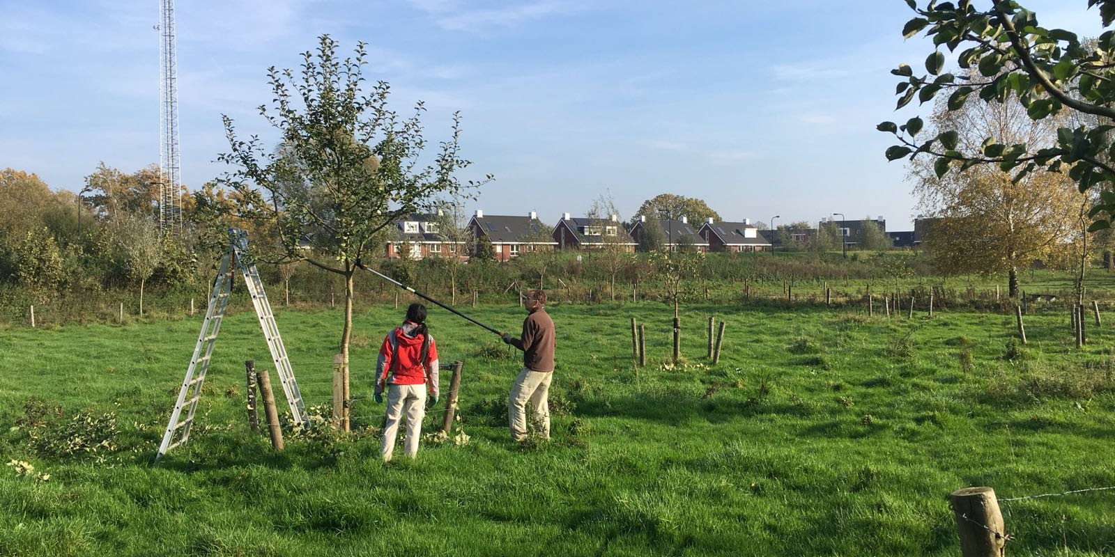 buurtboomgaard-wierden