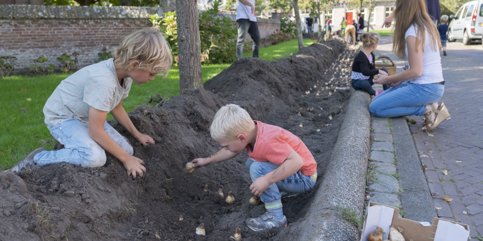 110 bomen