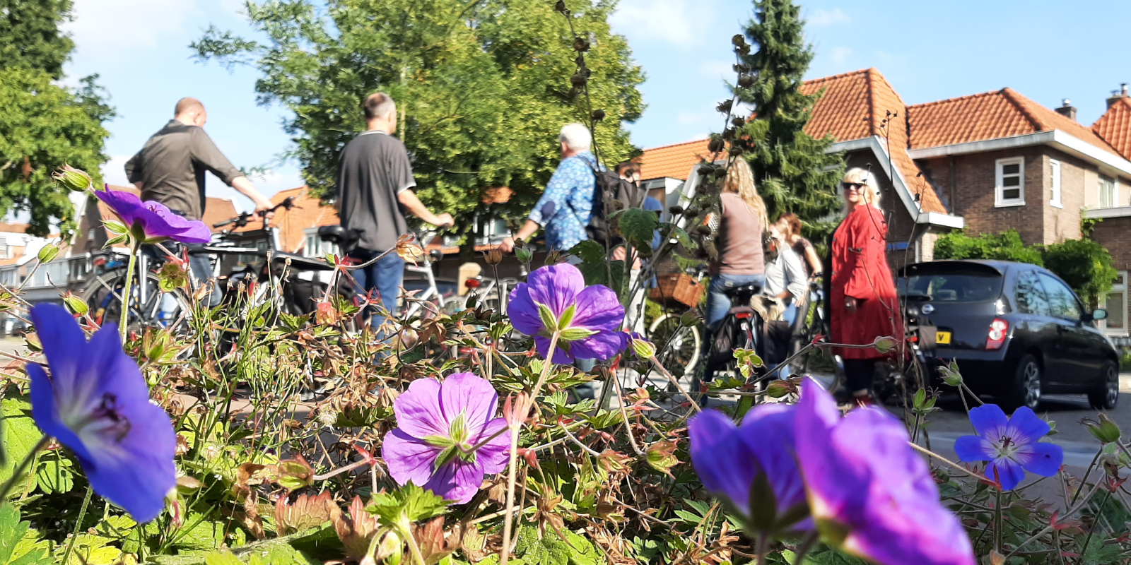 fietsexpeditie assendorp seringenstraat2