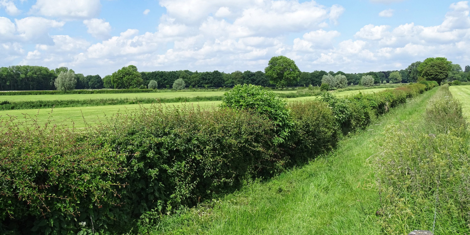 Heggenlandschap omgeving Gietelo (IJssellandschap)a-3000x1739