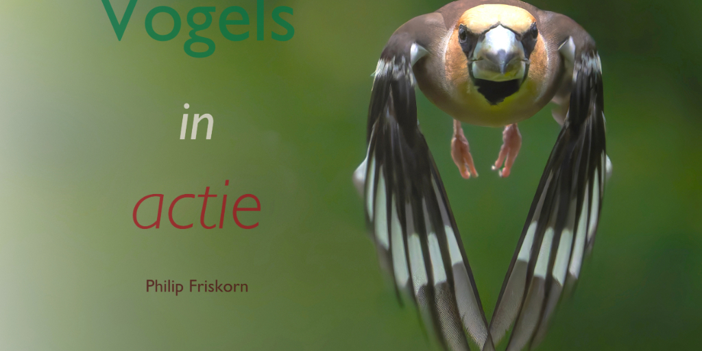 Boekpresentatie Philip Friskorn - Vogels in actie