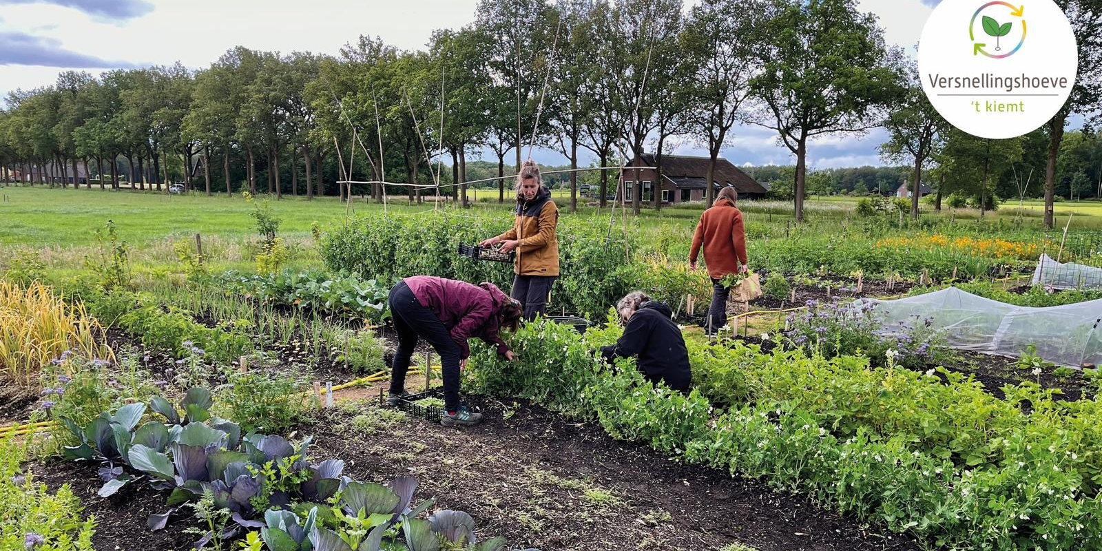 Versnellingshoeve 't Kiemt - Voedseltuin