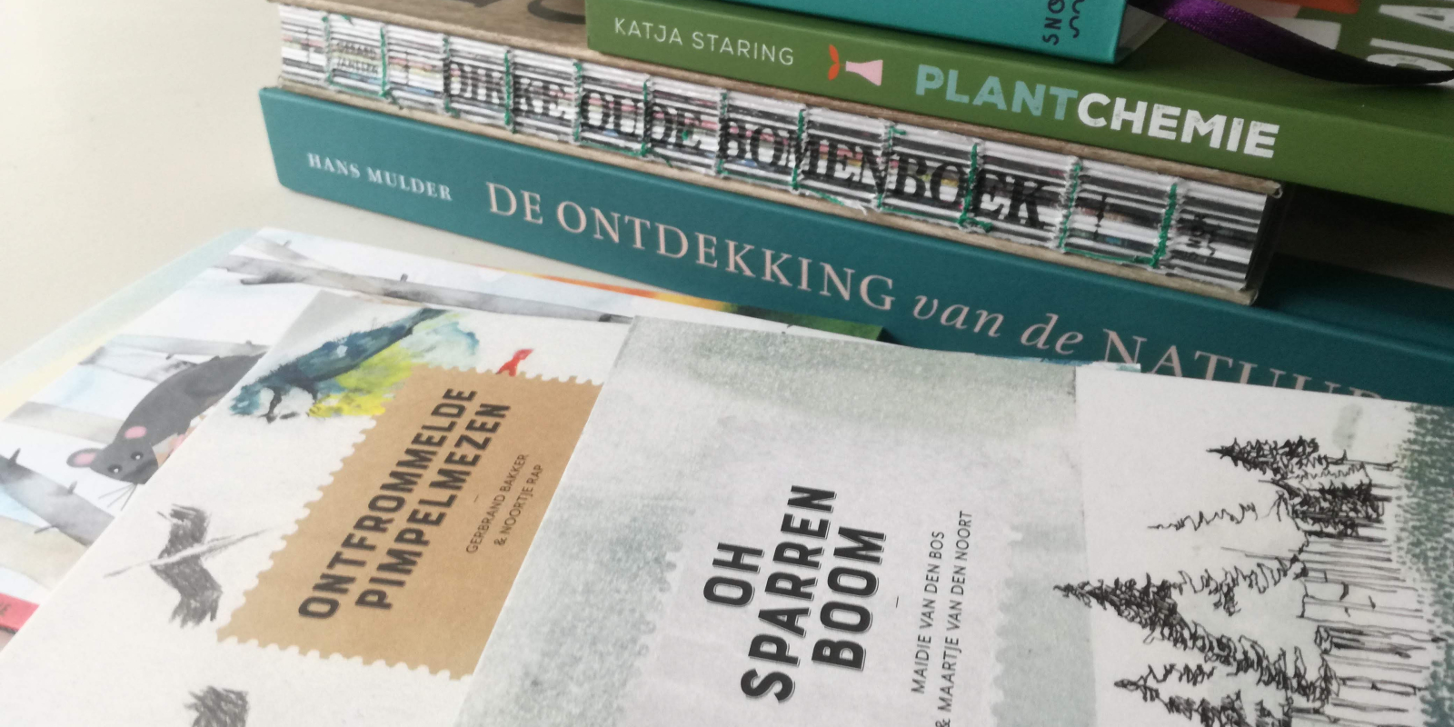Wintertips_21_boekenheader