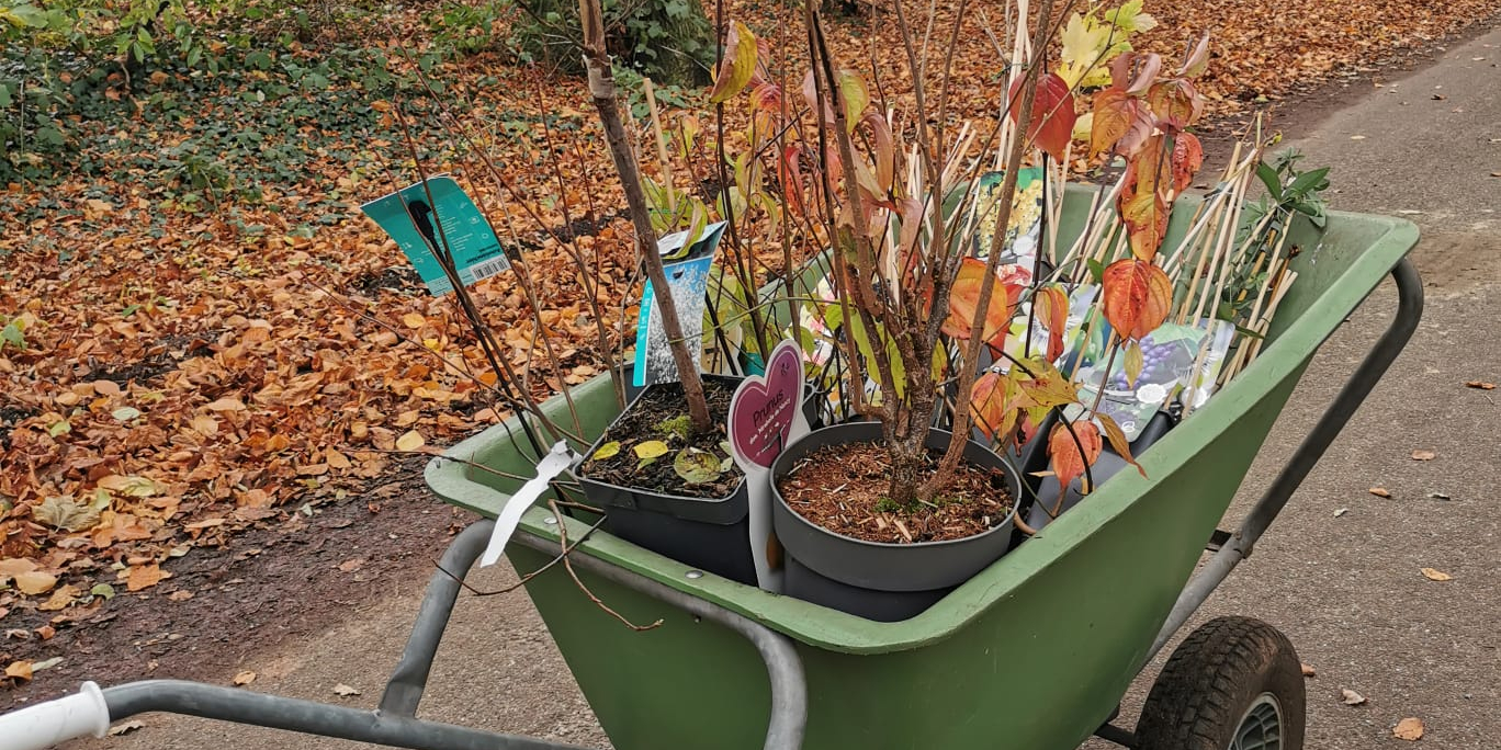 mmm-natuurisomoptevreten_kruiwagen-met-struiken3
