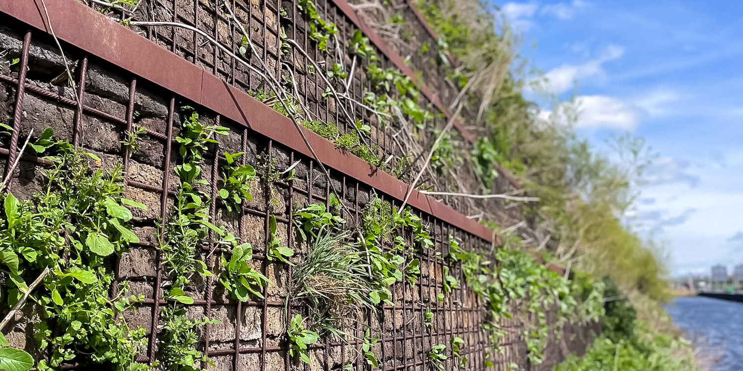 Duurzaam bouwmateriaal van BioBlocks 2