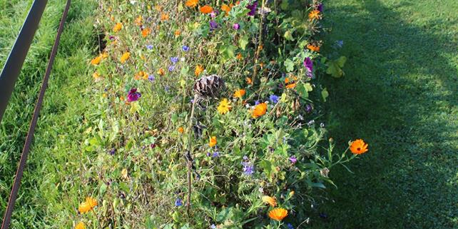 bloemenlint01
