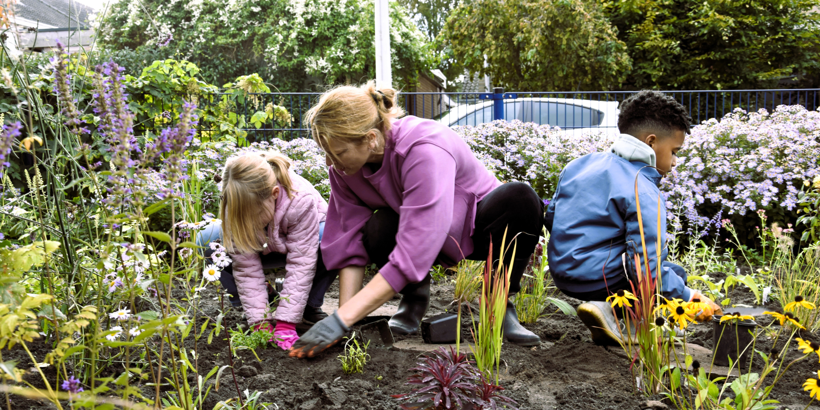 20260326_Header De Kiem