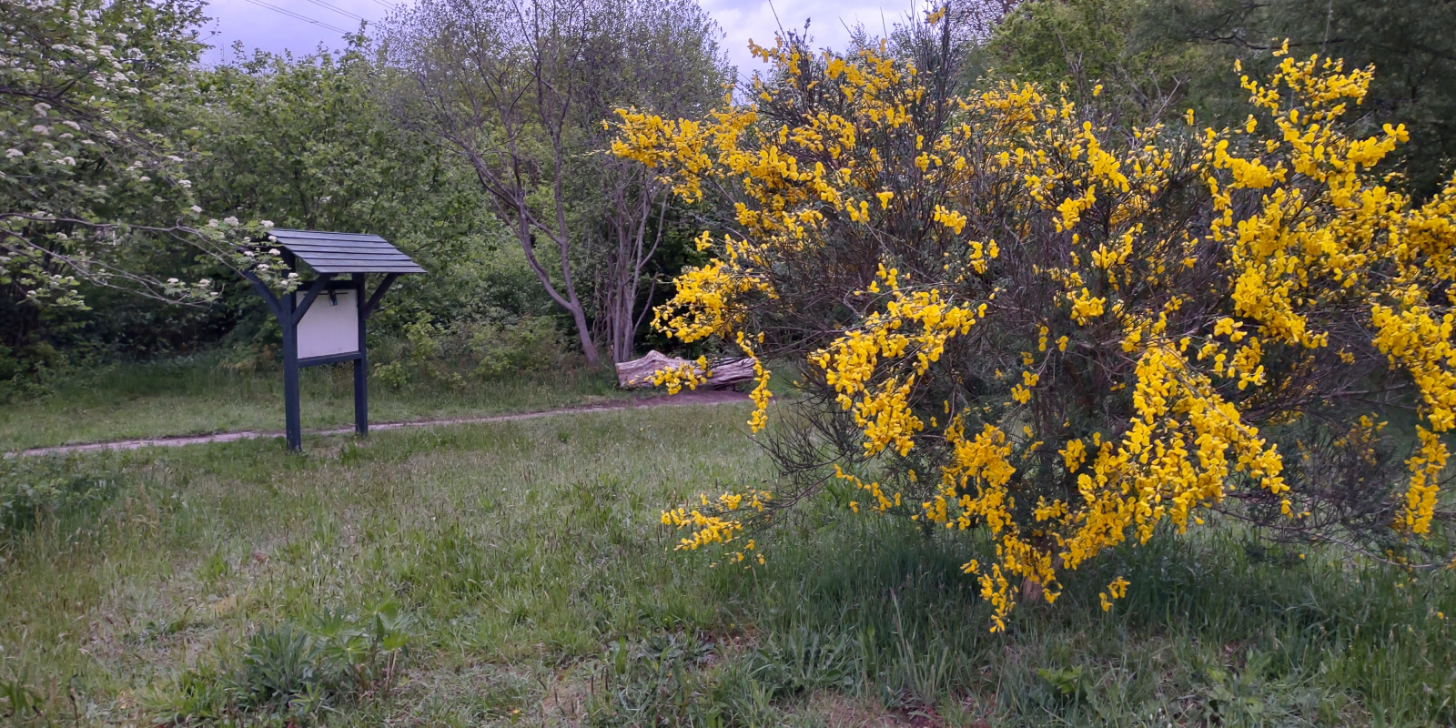 IMG_20210520_211143525_HDR