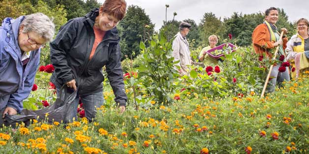 IVN_FB_Header_mensen_en_bloemen