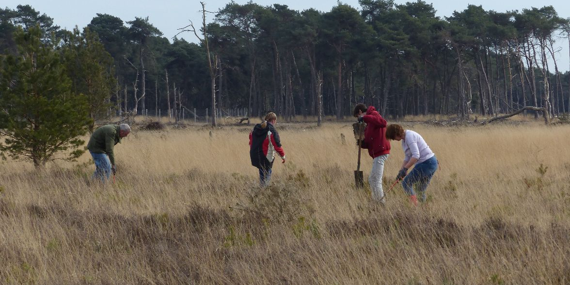 IVN Raalte werkdag