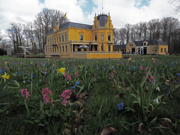 Stinzenflora