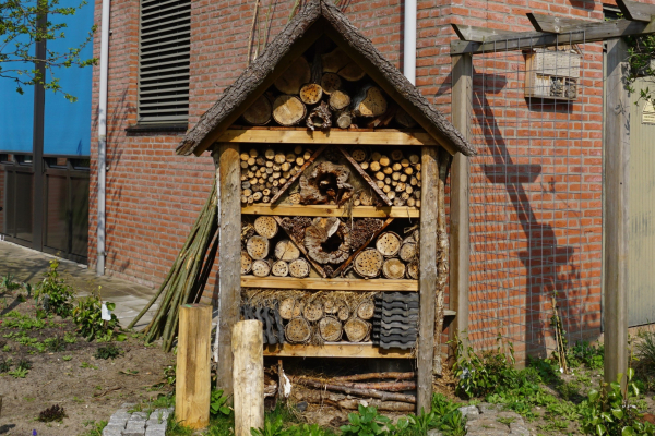 Bijenhotel (Erik de Kruif, Landschap Overijssel)