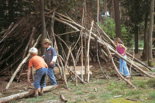 Speelbos