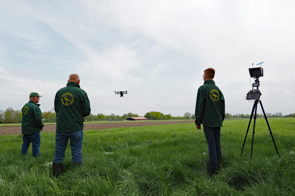 Weidevogelbeheer Vogelwerkgroep Geesteren