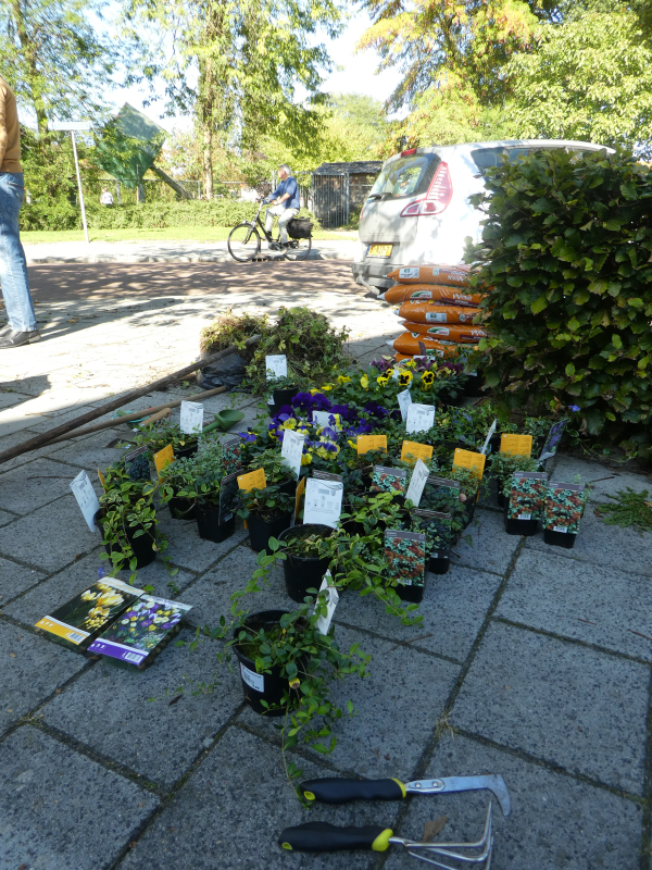 Aanplant staat klaar