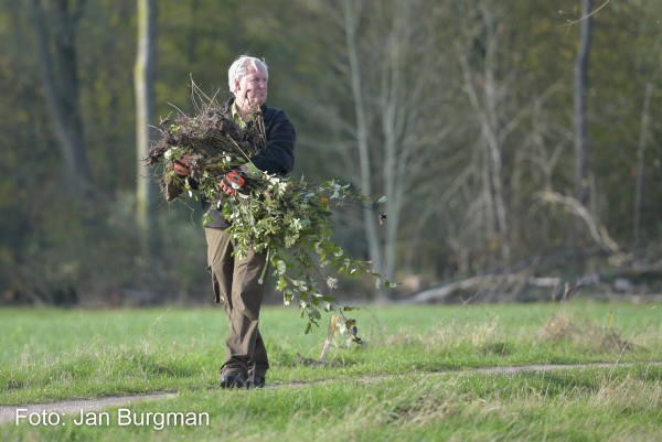 Bomen voor het Stadshagerbos
