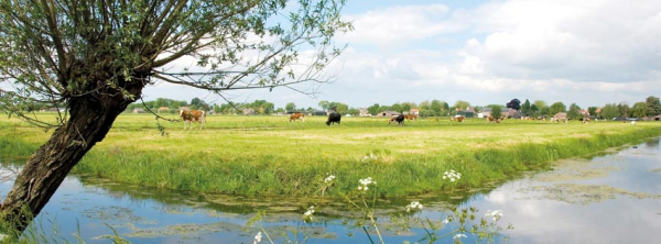 Gezocht: Landelijke Raadslid IVN