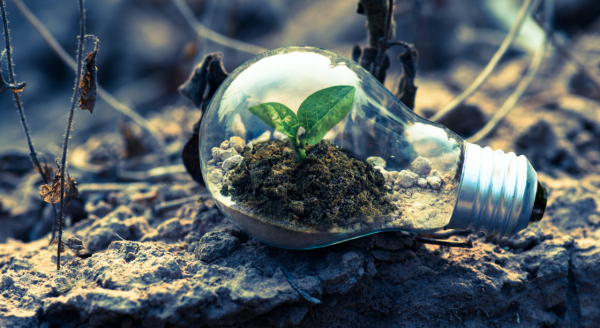 IVN Klimaatcursus in Zwolle