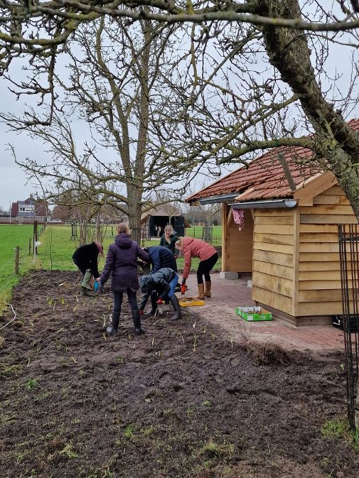De eerste struikjes gaan de grond in