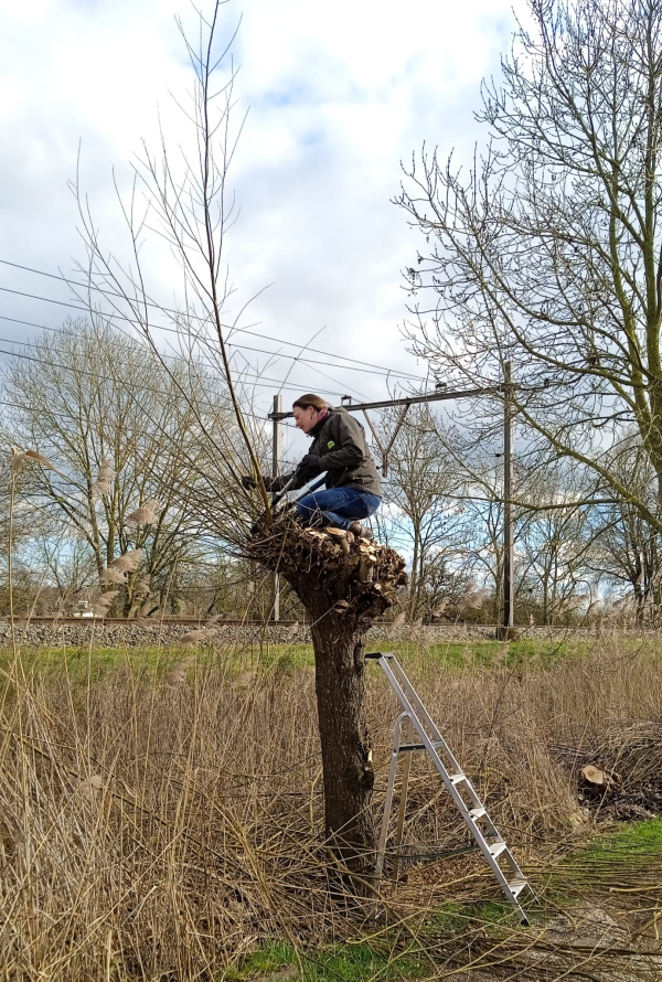 Annemarie Kamerling: ‘’Door je in biodiversiteit te verdiepen, gaat er een wereld voor je open’’