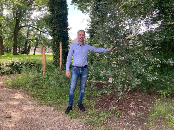 Arjan Mensink bij de nieuwe krentenboom