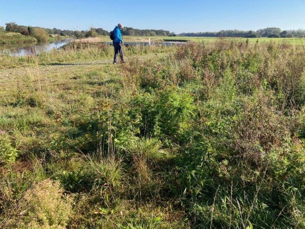 Het ruige grasland bij de nevengeul