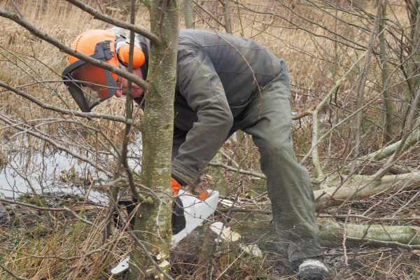 Motorkettingzaagspecialist Evert Jan in actie