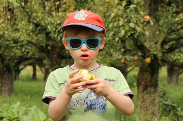 Zalige Zomer! Dit is de top 5 van groenbezig zomer 2020