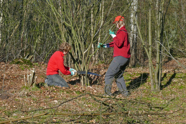 11 september: natuurinitiatievendag