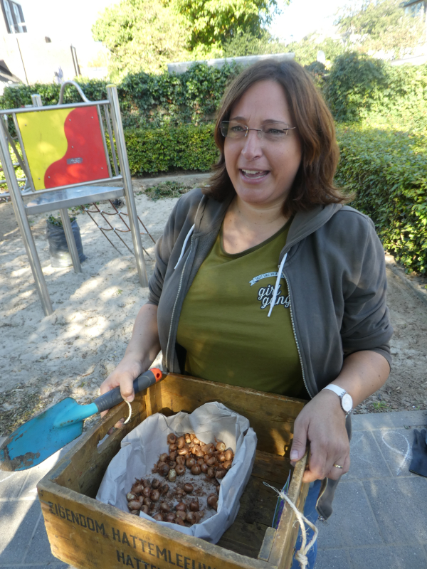 buurt vergroenen, bijvoorbeeld met biologische bollen