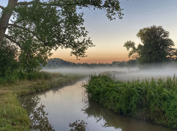 Netwerk voor natuur