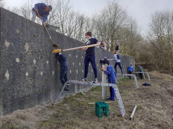 Vrijwilligers onderhouden de oeverzwaluwwand