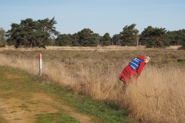 Speuren naar reptielen