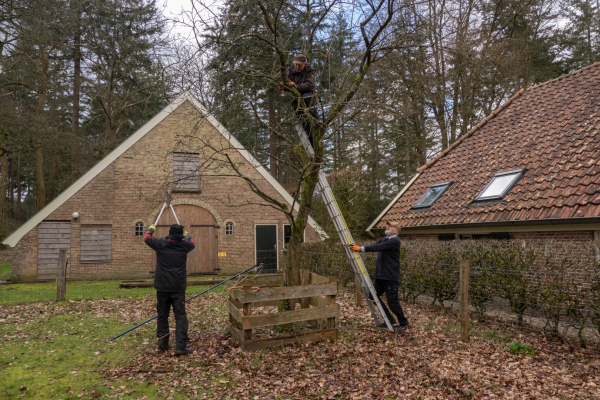 De onderhoudsploeg bezig met snoeiwerkzaamheden