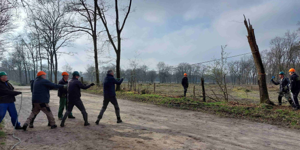 De laatste eik van het seizoen gaat om