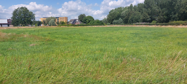 Hier komt het voedselbos. Rondom zijn al lagere bomen en struiken aangeplant, zoals Gelderse roos, mispel, meidoorn, lijsterbes, zuurbes, veel elzen, zomer- en winterlindes, wilde appels, sleedoorn, kornoelje, rozenstruiken, vuilhout en vlierbes.